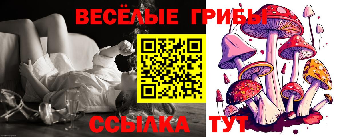 Псилоцибиновые грибы Magic Shrooms  Псилоцибиновые грибы Psilocybe  Дмитров  Вход с VPN 