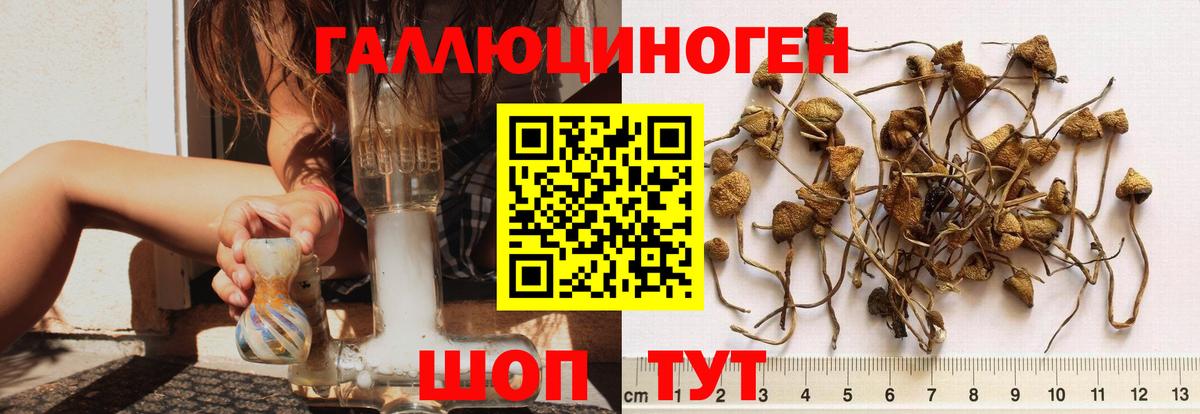 Галлюциногенные грибы ЛСД Дмитров